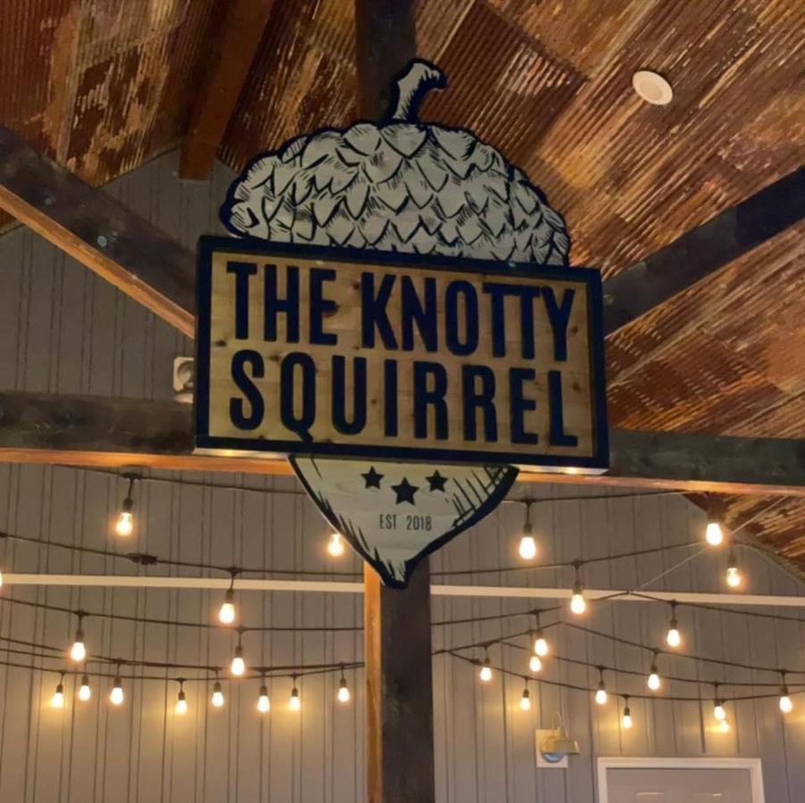 Knotty Squirrel Cabins Mountain View Exterior photo